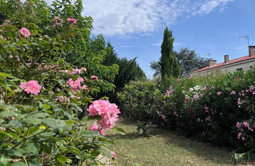 Albi House | La maison du Mistral Albi