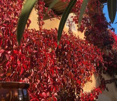 Salles-sous-Bois House | La Maison près de la Fontaine