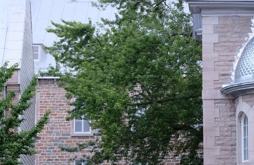 Old Quebec Apartment | la Maison Ursulines 2010 sq. ft. condo at the Heart of the UNESCO Heritage Site