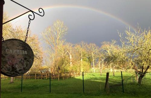 Noyal-Chatillon-sur-Seiche Bed & Breakfast | La Malcotais