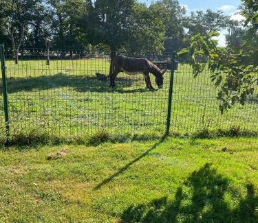 Noyal-Chatillon-sur-Seiche Bed & Breakfast | La Malcotais