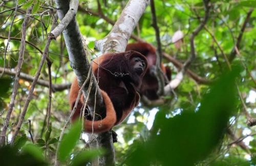 Santa Marta House | La Merecida, Nature Reserve, Coffee Cocoa Wellness