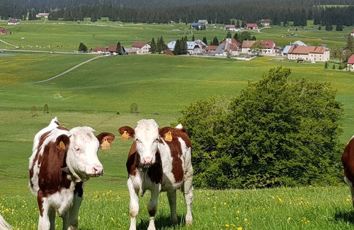 Chapelle-des-Bois Apartment | La Nature au Coeur de vos Vacances.dans le Parc Naturel du Haut Jura