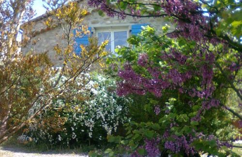 Rosieres House | La Nichoule