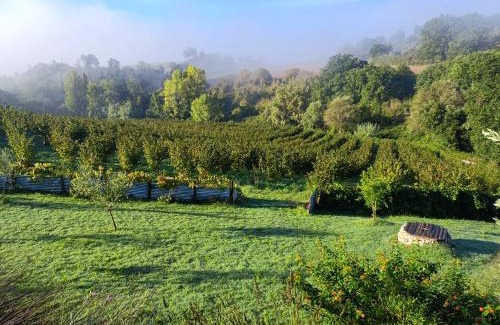 Narni House | La Nocciolaia