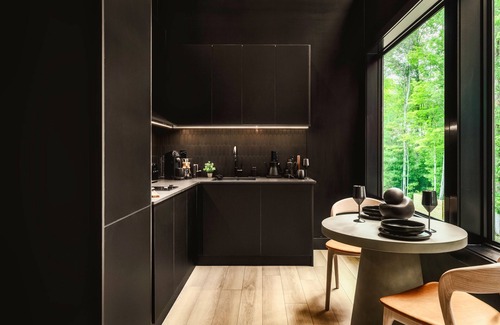 Wartburg Ski Chalet | La Notte Modern Black Chalet