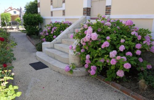 Auxerre House | La p'tite bourgeoise Auxerroise, demeure de charme.