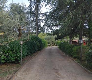 Soriano nel Cimino Apartment | La Pace