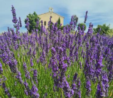 Entrevennes House | la parenthèse