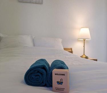 Roanne Apartment | La pause roannaise