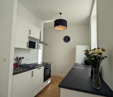 Roanne Apartment | La pause roannaise