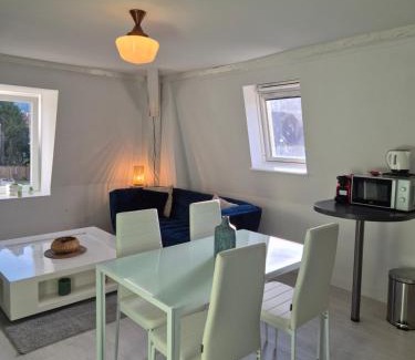 Remiremont Apartment | La Pause Vosgienne du Boulevard proche gare Centre ville & climatisé