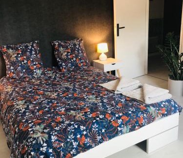 Remiremont Apartment | La Pause Vosgienne du Boulevard proche gare Centre ville & climatisé