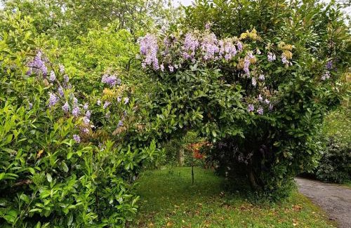 Borzonasca Apartment | La Perla dell'AltaVia