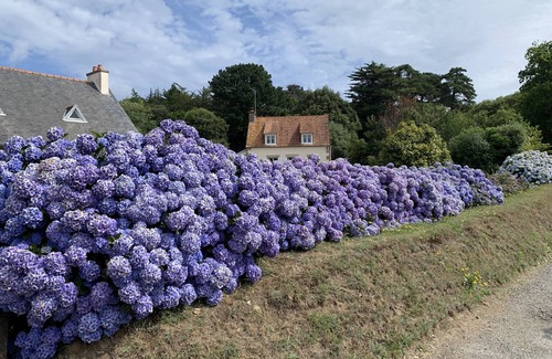 Plounerin House | La Petite Bretonne et son Granit Rose. Animaux de Compagnie Acceptés !