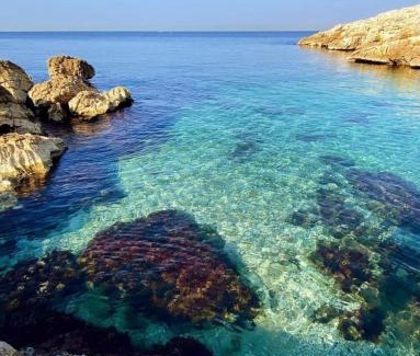 Montredon Bed & Breakfast | La Petite Calanque