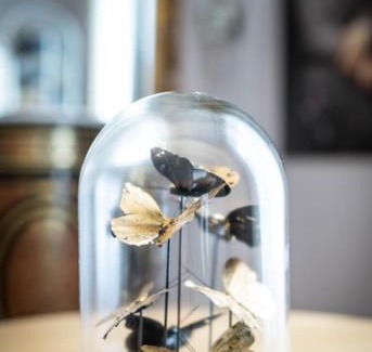 Etretat Apartment | La Petite Reine et son parking