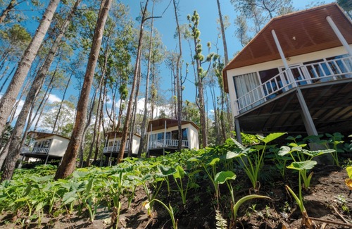 Kintamani Cabin | La Pino Mount Batur and Hot Spring