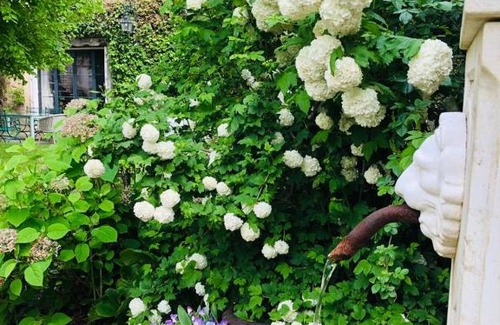 Chailly-en-Biere Bed & Breakfast | La plaine de l'Angelus