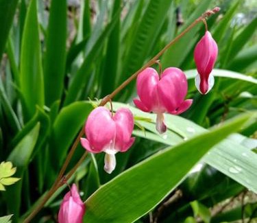 Saulgond House | La Poste Saulgond