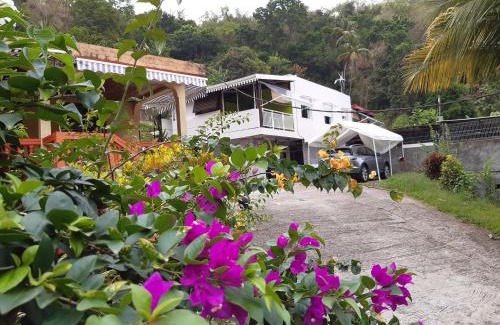 Riviere-Pilote Ski Chalet | La Poulette amazonienne