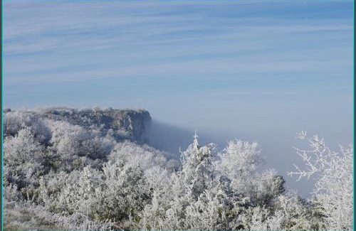Saint-Antonin Noble Val Bed & Breakfast | la prade basse 82