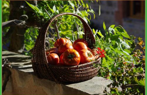 Saint-Antonin Noble Val Bed & Breakfast | la prade basse 82