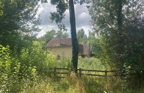 Courcival House | La Résidence Sycomore