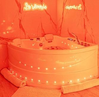 Vierzon Apartment | La Rêverie - Jacuzzi Lounge & Massage