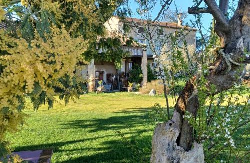 Damazan Bed & Breakfast | La rivière