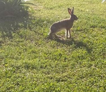 Nonantola Bed & Breakfast | La Rosa Selvatica