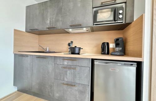 Mont-de-Marsan Apartment | La Roseraie - Hyper Centre - Parking Privatif