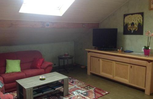 Etrembieres House | La Sapotine