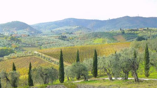 Santa Cristina a Mezzana Apartment | La Solaria