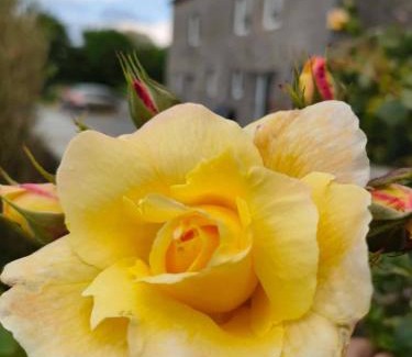 Beaufort Bed & Breakfast | La Source de nos Racines, Gîte de caractère