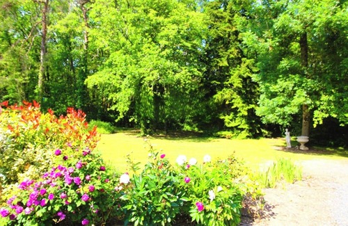 Paley House | La Symphonie de la Forêt" estate