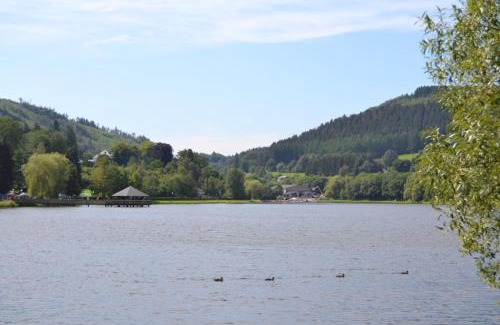 Vielsalm Apartment | la terrasse du lac
