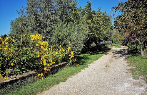 Magomadas House | La Tinaia Country House Bed & Board