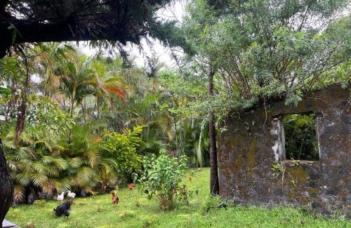 Saint-Philippe House | La Trinité, charme historique du Sud Sauvage