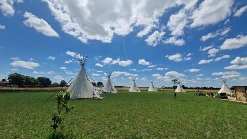 Saint-Jean-de-Sauves Other | La vallée de l'Ouest