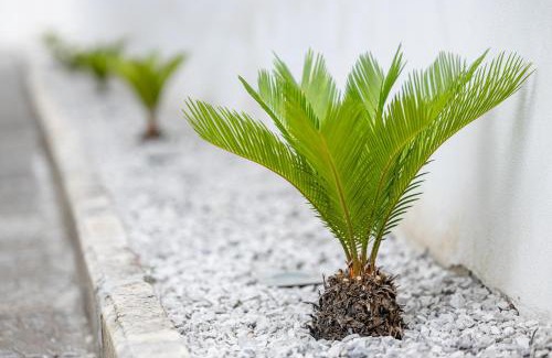 Bracigliano House | La Valle del Ciliegio