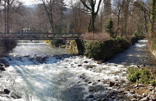 Munster Apartment | la verte vallée 2