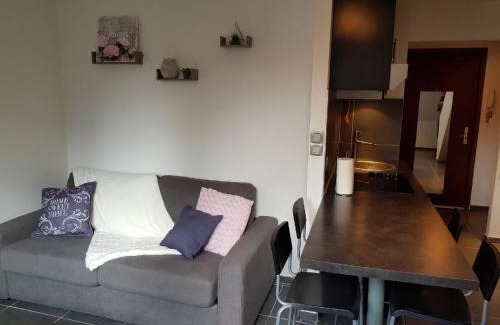 Munster Apartment | la verte vallée 2