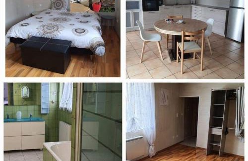 Obersaasheim Apartment | La Vieille Fermette