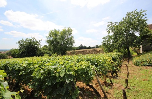 Buxy House | La Vigne des Guyons - BUXY