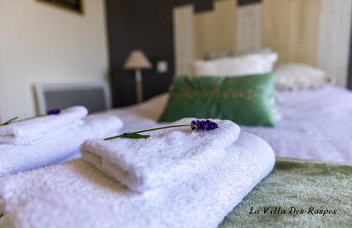 Viala-du-Tarn Bed & Breakfast | La Villa Des Raspes - Séjour Spa - Adult Only