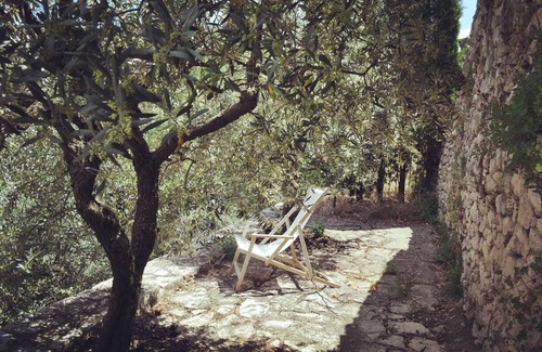 Oppedette House | La villa du Tilleul, authentic Luberon gîte with swimming pool