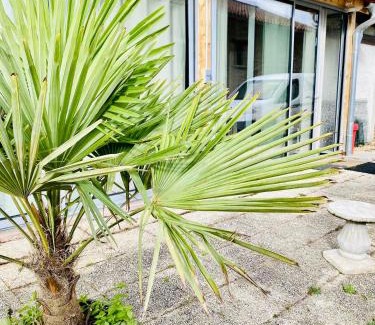 Le Grand-Lemps Apartment | La Villa Jo