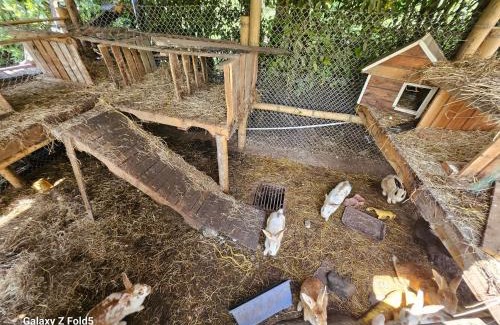 Pereira Ski Chalet | La Villa Roja