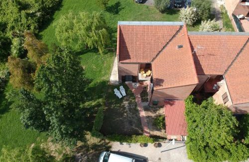 Migliarino House | La villetta d' angolo